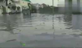 洪水视频,惊心动魄的现场纪实